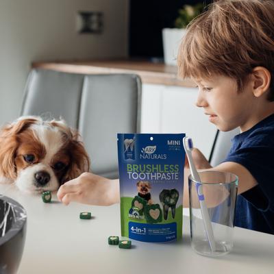 Brushless Toothpaste Mini Dental Dog Treats, 4-oz bag, count varies