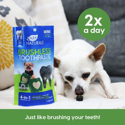Brushless Toothpaste Mini Dental Dog Treats, 4-oz bag, count varies