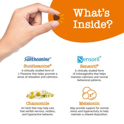 Bundle: Zesty Paws All Ages Calming Bites Behavior Bacon Flavor Supplement + Aller-Immune System Bites Bacon Flavor Cat Supplement