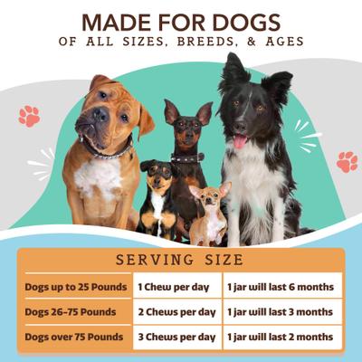 Multivitamin Peanut Butter & Bacon Flavored Soft Chew Supplement for Dogs, 180 count