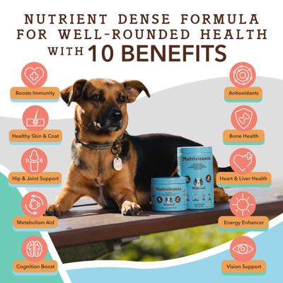 Multivitamin Peanut Butter & Bacon Flavored Soft Chew Supplement for Dogs, 180 count