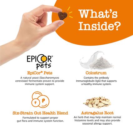 Bundle: Zesty Paws Mobility Bites Hip & Joint Support + Aller-Immune Bites Lamb Flavor Immune System Soft Chews Dog Supplement