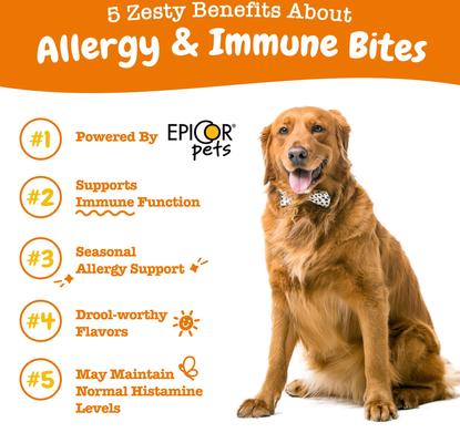Bundle: Zesty Paws Mobility Bites Hip & Joint Support + Aller-Immune Bites Lamb Flavor Immune System Soft Chews Dog Supplement