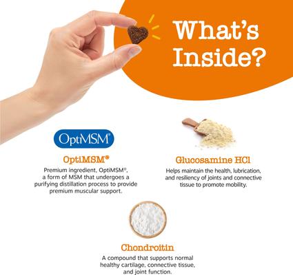 Bundle: Zesty Paws Mobility Bites Hip & Joint Support + Aller-Immune Bites Lamb Flavor Immune System Soft Chews Dog Supplement