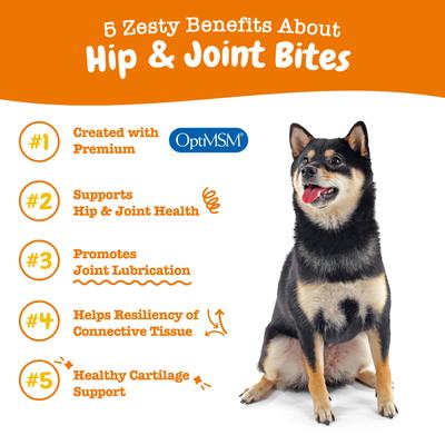 Bundle: Zesty Paws Mobility Bites Hip & Joint Support + Aller-Immune Bites Lamb Flavor Immune System Soft Chews Dog Supplement