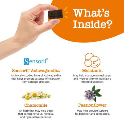 Bundle: Zesty Paws All Ages, Calming Bites, Peanut Butter Flavored Soft Chews, Behavior Functional Dog Supplement, 90 count + Zesty Paws Calming Squares Stress & Anxiety Smoked Chicken Flavor Soft Chew Dog Supplement, 10-oz bag