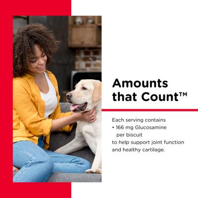 Hip & Joint Regular Strength Biscuits for Small & Medium Dogs Peanut Butter Flavor Treats, 19.5-oz bag