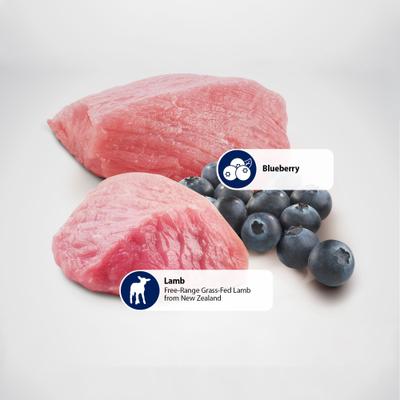 Natural & Delicious Lamb Grain-Free Mini Breed Formula Dry Dog Food, 5.5-lb bag