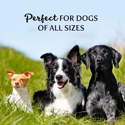 Best Buddy Bones Peanut Butter Flavor Dog Treats, 5.5-oz bag