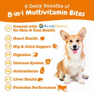 Bundle: Zesty Paws 8-in-1 Multivitamin Bites + Salmon Bites Skin & Coat Dog Supplement