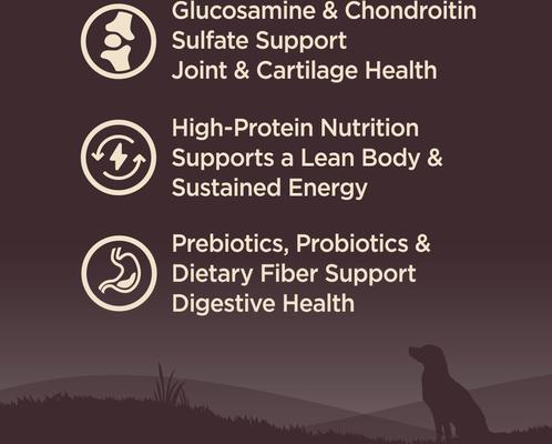 CORE Grain-Free Senior Deboned Turkey Recipe Dry Dog Food, 24-lb bag