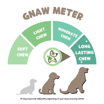 USA Pig Ears Natural Dog Chew Treats, 10 count