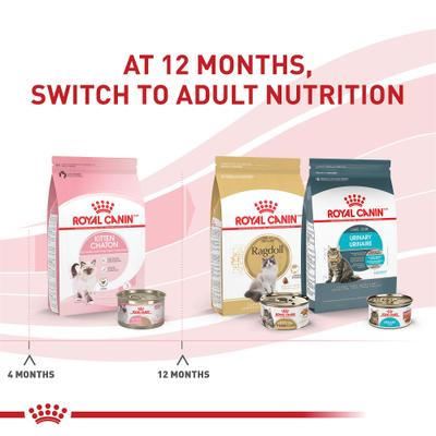 Feline Health Nutrition Kitten Loaf in Sauce Canned Cat Food, 5.1-oz, case of 24