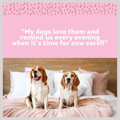 7-in Cow Ears Dog Treat, 2 count