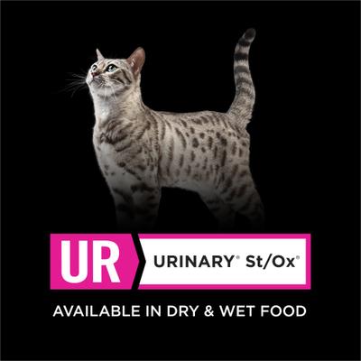 UR Urinary St/Ox Savory Selects Turkey & Giblets in Sauce Wet Cat Food, 5.5-oz can, case of 24