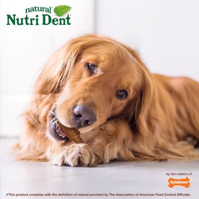 Nutri Dent Filet Mignon Flavored Dog Dental Chews, Regular, Large, 20 Count