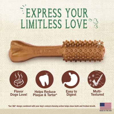 Nutri Dent Filet Mignon Flavored Dog Dental Chews, Regular, Large, 20 Count