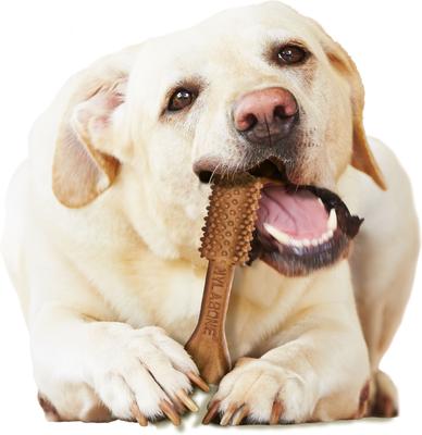 Nutri Dent Filet Mignon Flavored Dog Dental Chews, Regular, Large, 20 Count