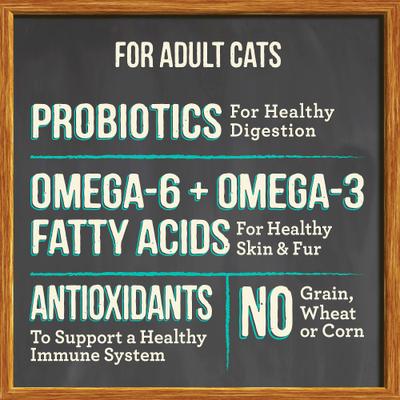 Purrfect Bistro Grain-Free Real Salmon + Sweet Potato Recipe Adult Dry Cat Food, 24-lb bundle