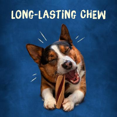 with Beggin' Twist'd! Long-Lasting Small/Medium Dog Treats, 6 count