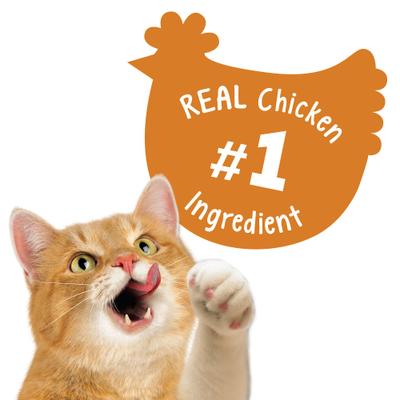 Party Mix Chicken Lovers Crunch Flavor Crunchy Cat Treats, 20-oz pouch