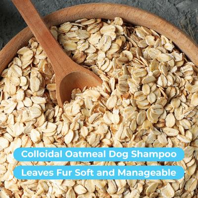 Organic Lavender & Chamomile Oatmeal Dog Shampoo & Conditioner, 16-fl oz bottle
