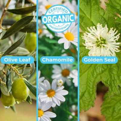 Organic Lavender & Chamomile Oatmeal Dog Shampoo & Conditioner, 16-fl oz bottle