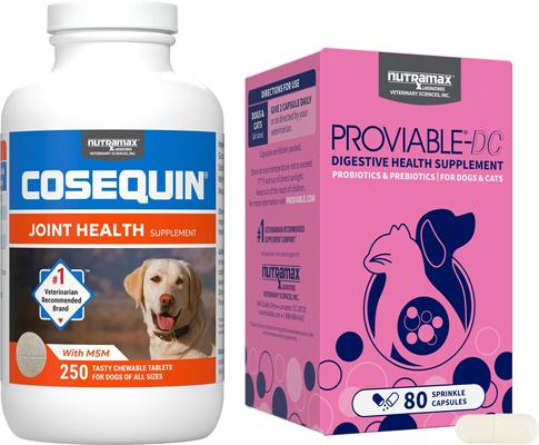 Bundle: Nutramax Cosequin Maximum Strength Plus MSM Chewable Tablets Joint Supplement + Nutramax Proviable-DC Capsules Digestive Supplement for Dogs