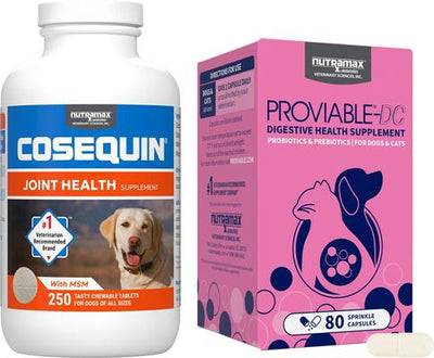 Bundle: Nutramax Cosequin Maximum Strength Plus MSM Chewable Tablets Joint Supplement + Nutramax Proviable-DC Capsules Digestive Supplement for Dogs