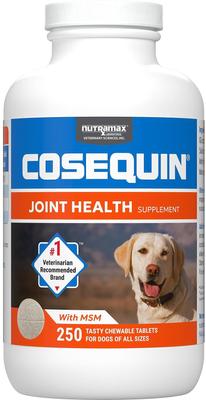Bundle: Nutramax Cosequin Maximum Strength Plus MSM Chewable Tablets Joint Supplement + Nutramax Proviable-DC Capsules Digestive Supplement for Dogs