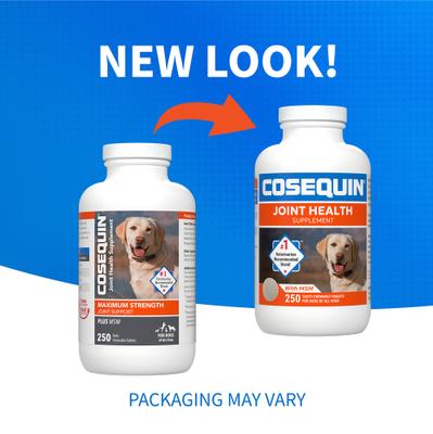 Bundle: Nutramax Cosequin Maximum Strength Plus MSM Chewable Tablets Joint Supplement + Nutramax Proviable-DC Capsules Digestive Supplement for Dogs