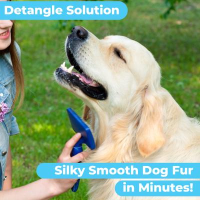 Organic Orange Blossom & Bergamot Oatmeal Dog Shampoo & Conditioner, 16-fl oz bottle