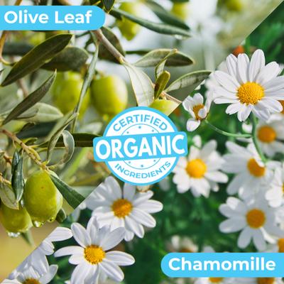 Organic Orange Blossom & Bergamot Oatmeal Dog Shampoo & Conditioner, 16-fl oz bottle