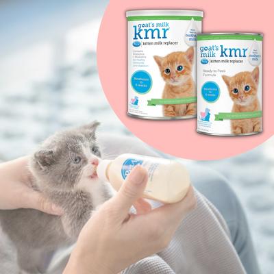 Goat's Milk KMR Kitten Milk Replacer Liquid for Kittens, 11-fl oz can