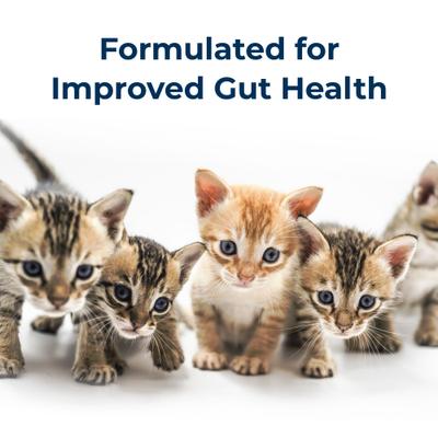 Goat's Milk KMR Kitten Milk Replacer Liquid for Kittens, 11-fl oz can