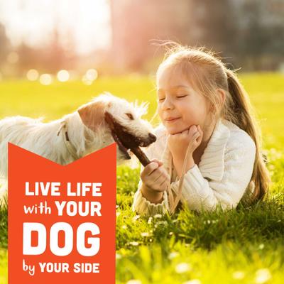 Wag More Bark Less Peanut Butter & Apples Grain-Free Soft Chew Dog Treats, 5-oz bag