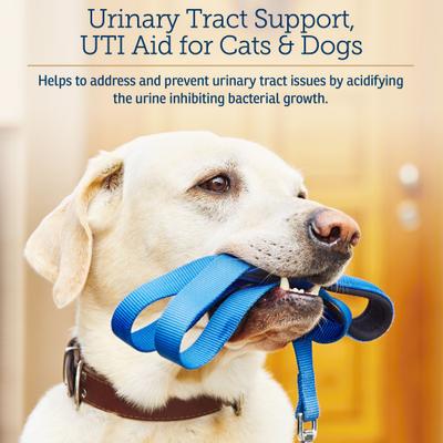 Cranberry Rx Capsules Urinary Supplement for Cats & Dogs, 90 count