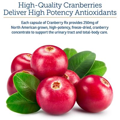 Cranberry Rx Capsules Urinary Supplement for Cats & Dogs, 90 count