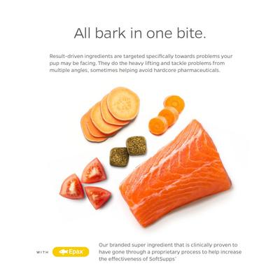 Skin & Coat SoftSupps Omega Skin & Coat Dog Supplement, 90 count