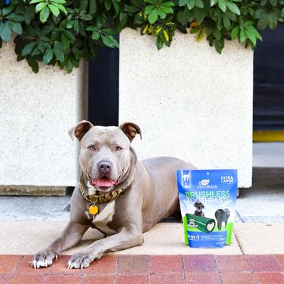 Brushless Toothpaste Dog Dental Treats, X-Large, 24-oz bag