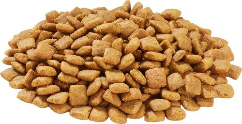 Bundle: Nature's Recipe Grain-Free Chicken, Sweet Potato & Pumpkin Recipe Dry Food + SmartBones SmartSticks Peanut Butter Chews Dog Treats