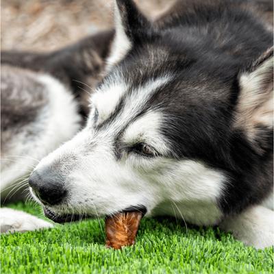 Smoked Chicken Jerky Dog Treats, 4-oz