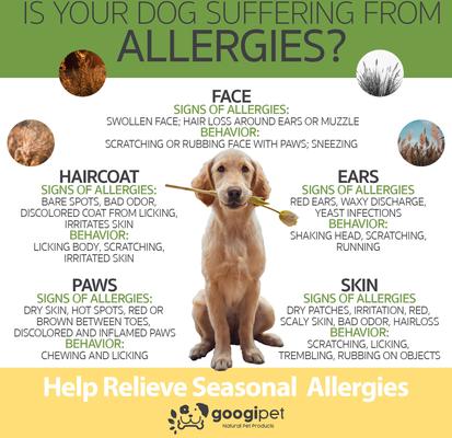 Suplemento masticable para perros con sabor a coco y algarroba para aliviar la alergia, 90 unidades