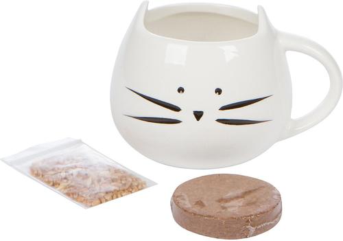 Organic Pet Grass Grow Kit with Planter, White