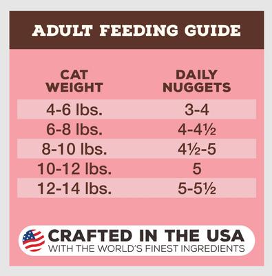 Beef & Salmon Formula Nuggets Grain-Free Raw Freeze-Dried Cat Food, 14-oz bag
