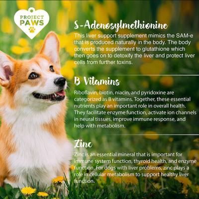 SAM-e Advanced Liver Support Dog Supplement, 60 count
