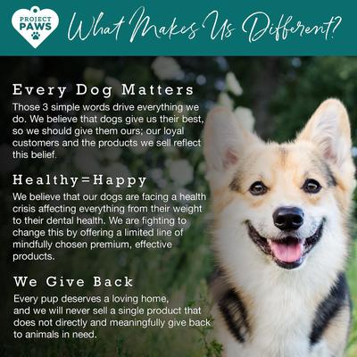 SAM-e Advanced Liver Support Dog Supplement, 60 count