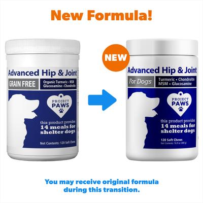 Advanced Grain-Free Hip & Joint Dog Supplement Chews, 120 count