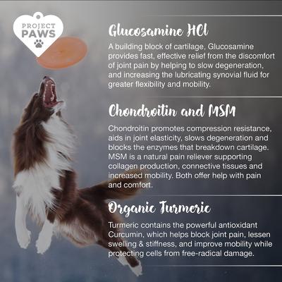 Advanced Grain-Free Hip & Joint Dog Supplement Chews, 120 count