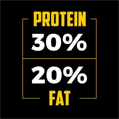 Professional 30/20 Formula Adult Dog Food, 40-lb bag